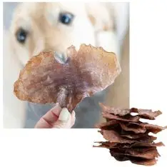 Snack'it Blæksprutteplader - Snack´it