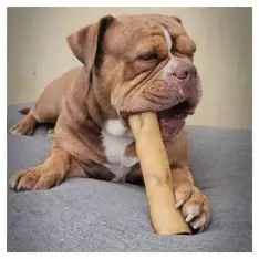 Snack´it Pandebraskrulle Premium Okse -