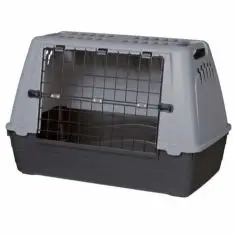 Transportbur Box Journey -