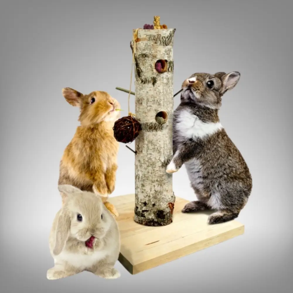 forside Billede Gnaver